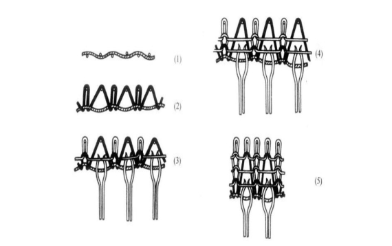 Mouth Opening Process of One Toe Sock of leefu automatic toe-linking sock knitting machine